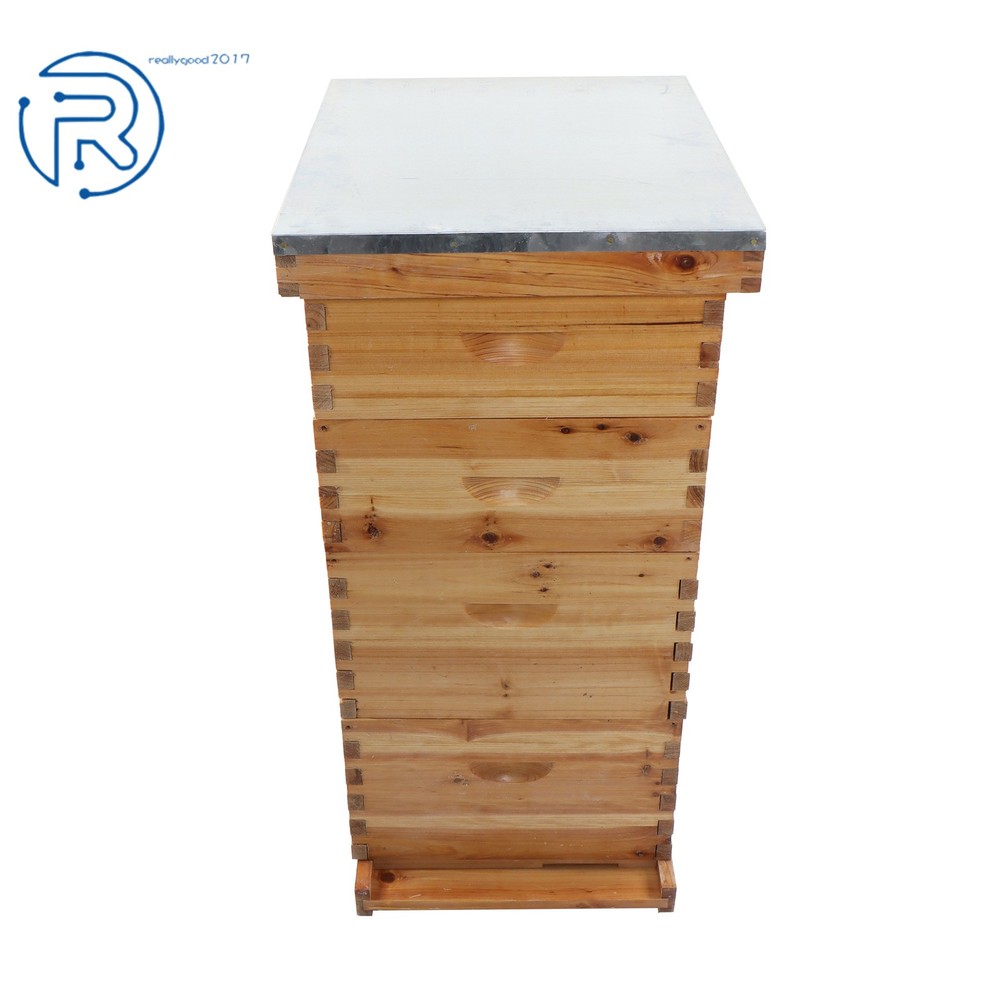 Beeswax Coated 4 Layer 10 Frame Bee Hive Includes Beehive Frames and Foundations