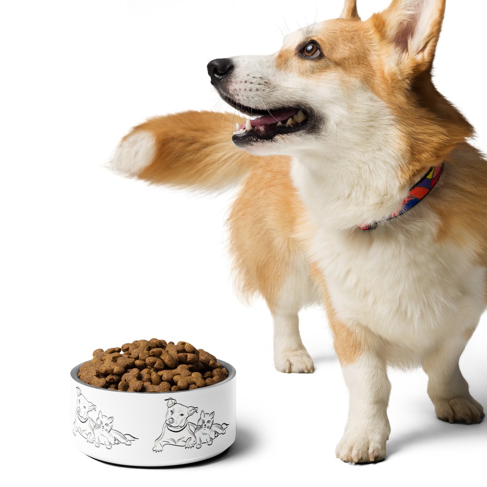 Dog and Cat Pet bowl