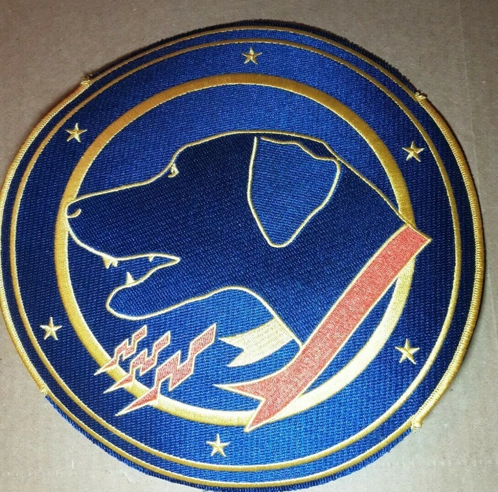 Tactical Fighter Squadron Wardog 9" Patch Without Add Ons READ