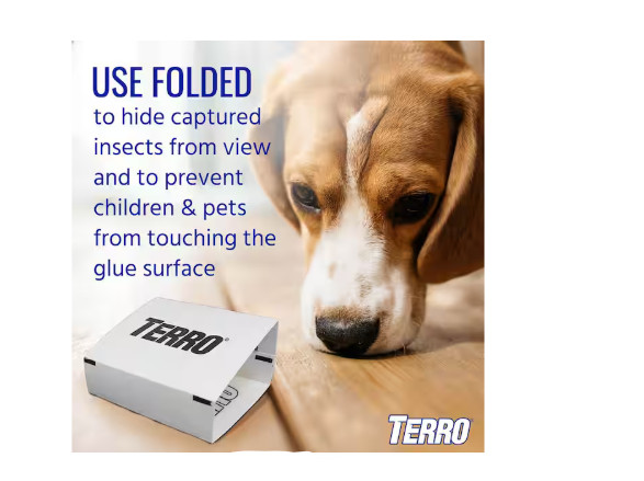TERRO Non-Toxic Spider and Insect Trap (4-Count)