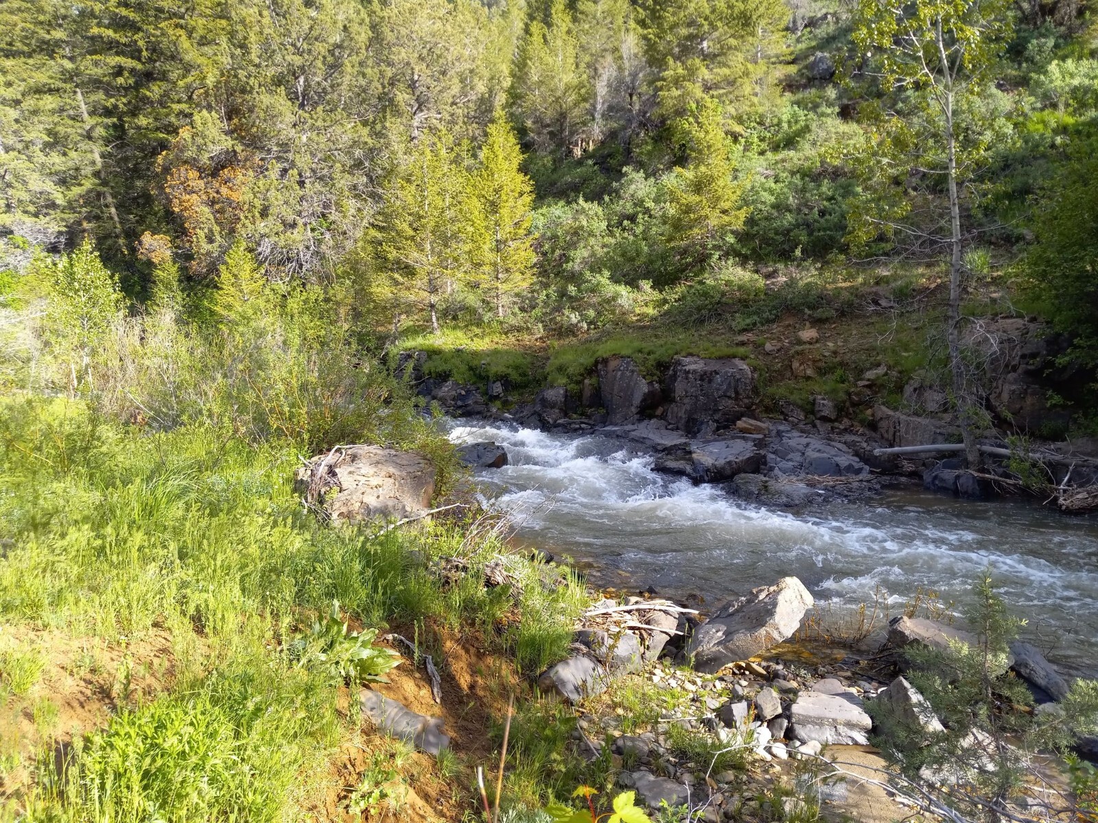 Republic Mining Prospectors Association Membership. Access to 18 Mining Claims.