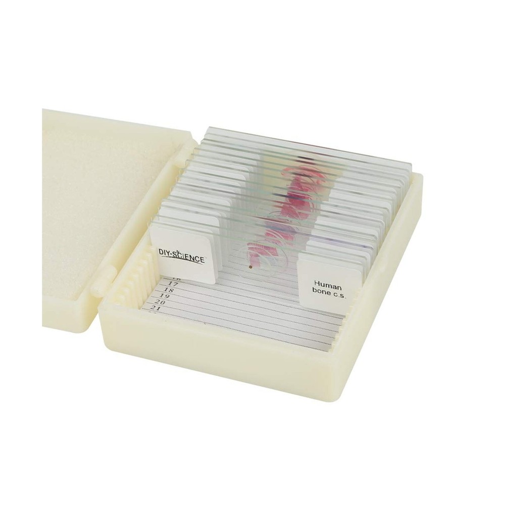 Prepared Human Tissue Anatomy Microscope Slides Set, 17pcs Hand-Prepared Slid...