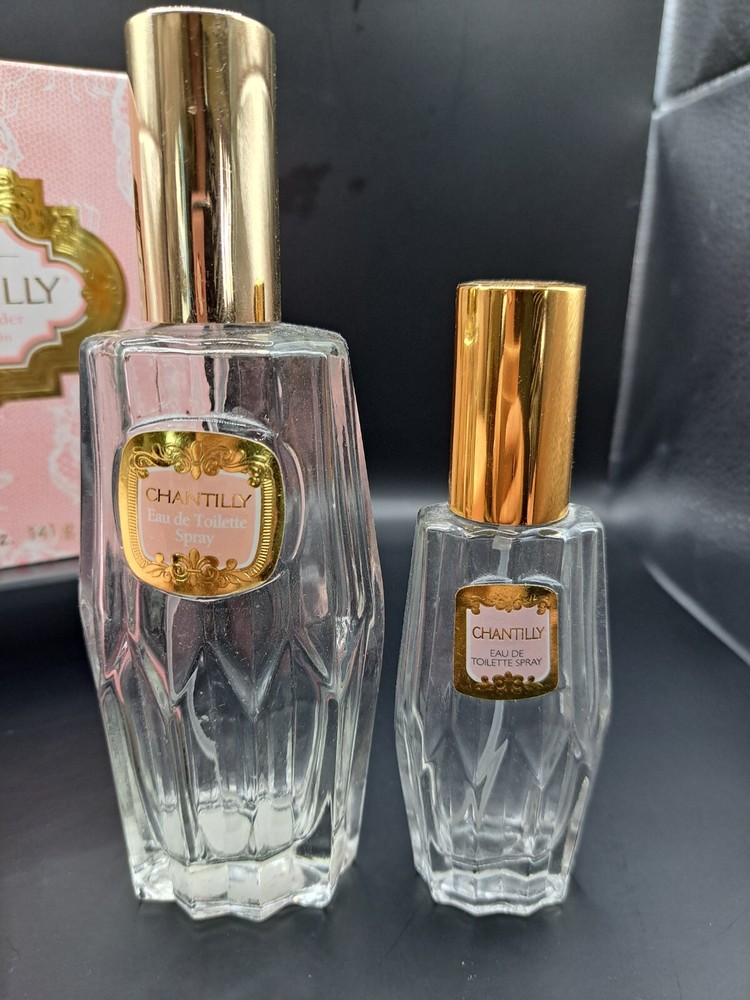 Vintage Chantilly Dusting Powder Box Solid Pink Plastic Case Empty