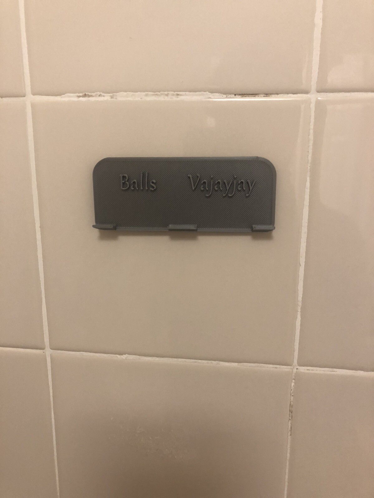 shower razor holder “Balls Vajayjay” Organizer