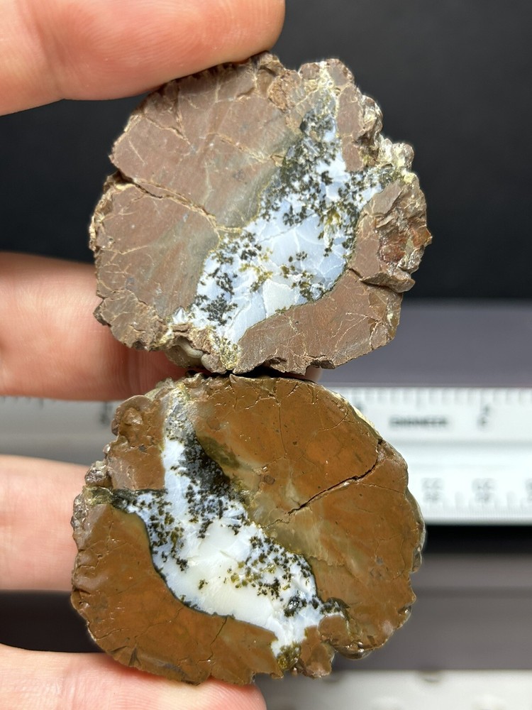 Thunder eggs /cut/3.16 Pounds