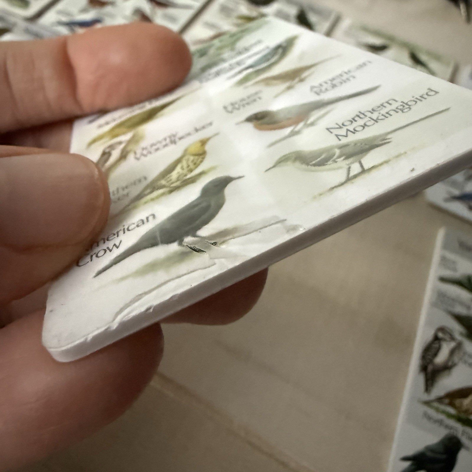 Lot 3 Bird Song IdentiFlyer ALL TESTED WORKING Yardbirds, Frogs, Night Bird Read