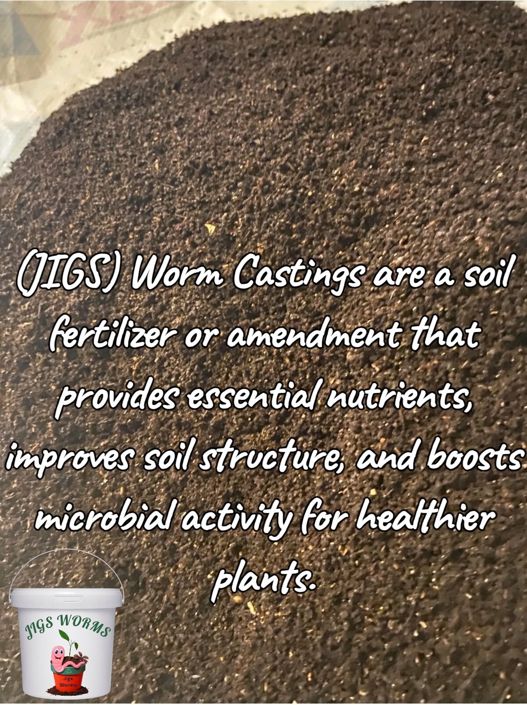 (JIGS) LIVE Red Wiggler Composting Worm Mix Approx 1,000 (1 LB) Voracious Eaters