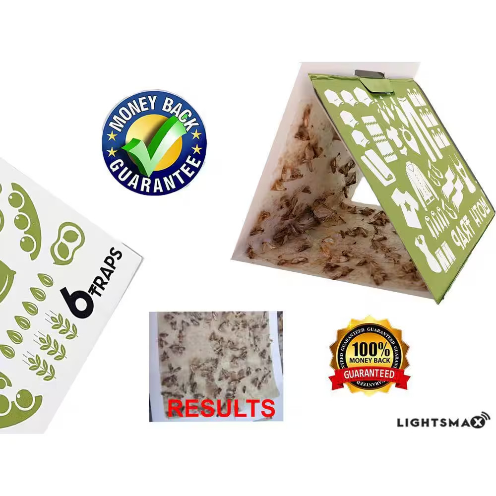 Pantry Moth Trap (5-Pack)