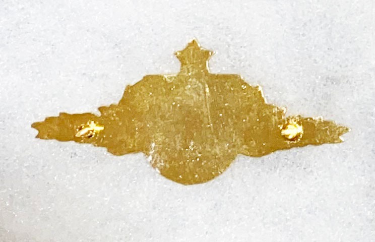 Brazilian Special Forces Qualification Wing