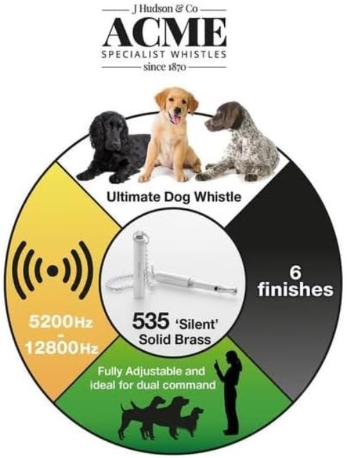 -'silent dog whistle'