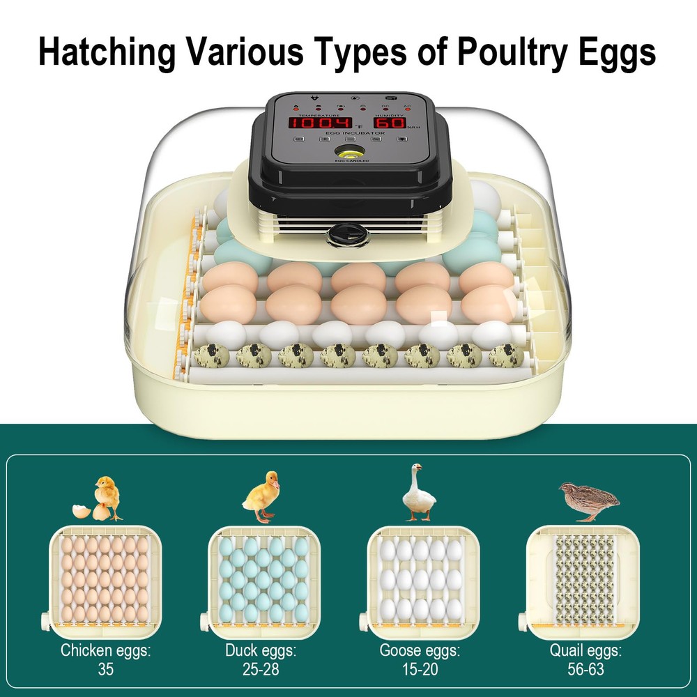 CoInceptus 35 Egg Incubator with Automatic Egg Turning and Humidity Control, ...