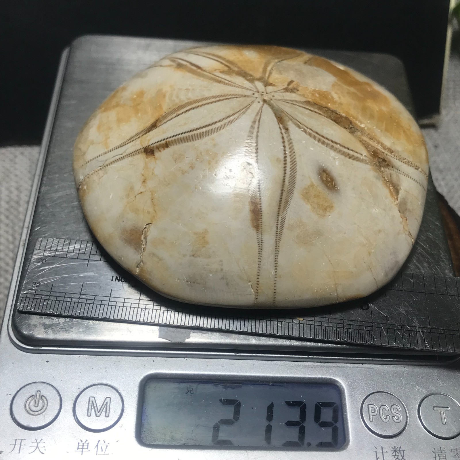 213g Starfish Crystal Specimen 09