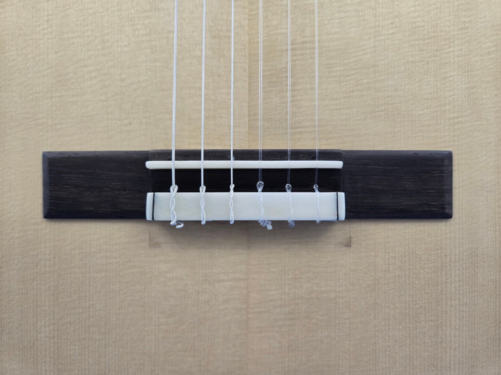 GeronimoGarcia Concert Classical Guitar