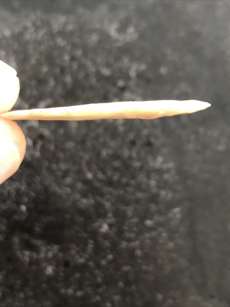 Very Rare Thin Finest Western Sahara 4 Neolithic Translucent Points Pristine A+