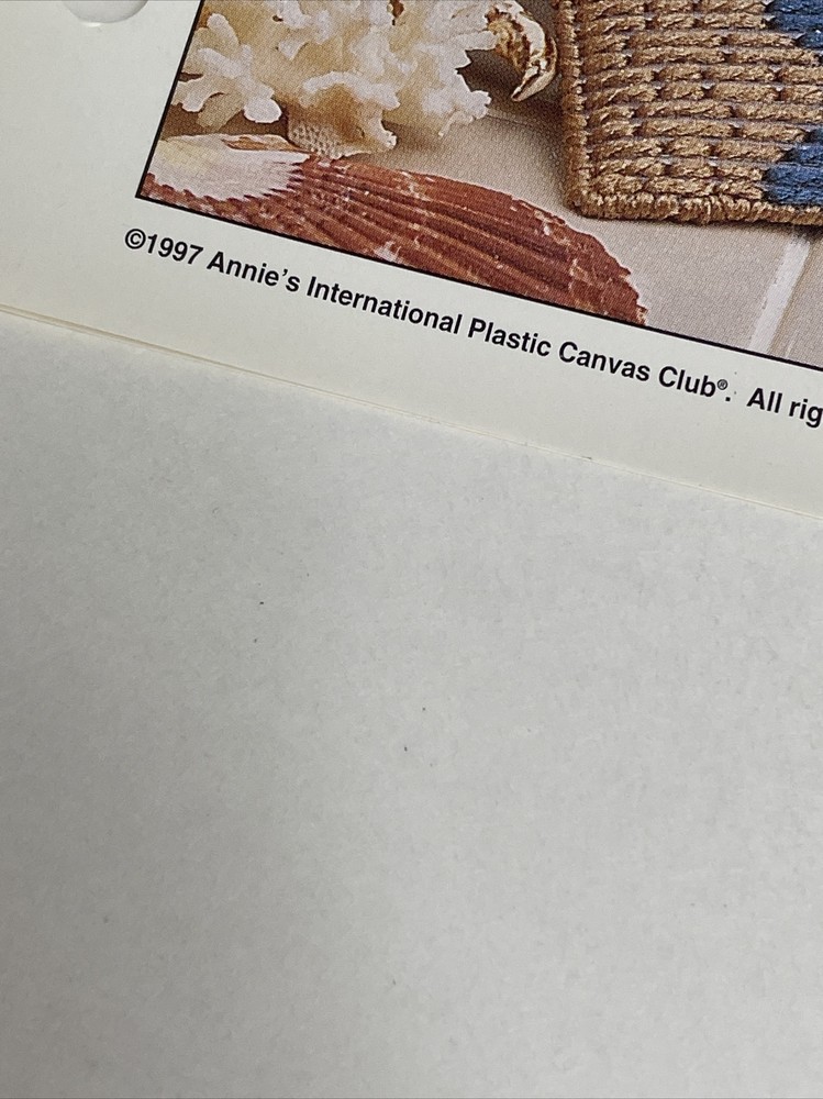 Seashore Tote Set Eyeglass Case & Can Caddy Annie's Plastic Canvas Pattern