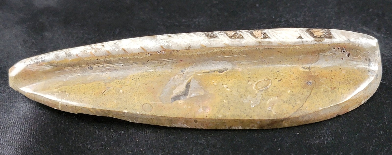 Vintage Ancient Orthoceras Squid Shell Fossil Morocco Approx 3.5" & 4.5" Lot of