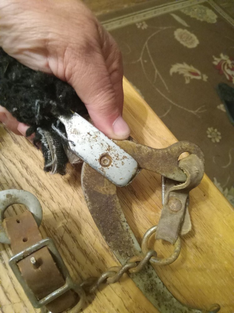 Used Mechanical Hackamore