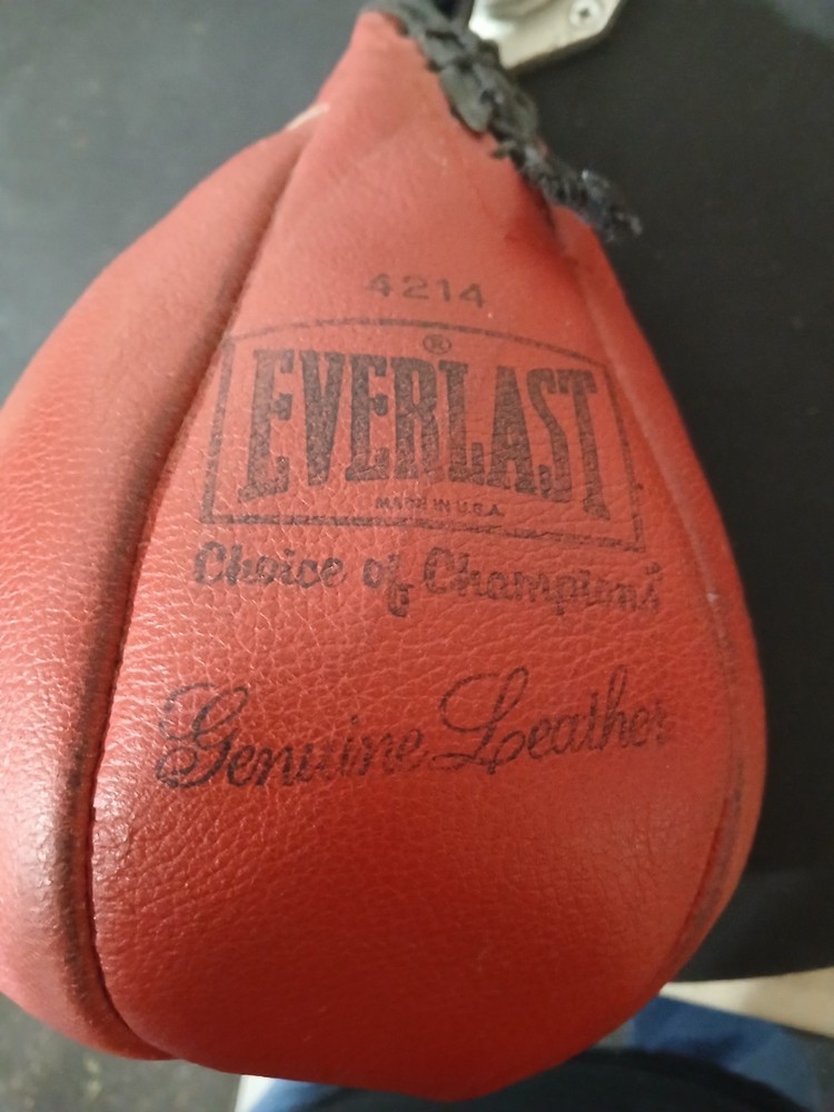 Everlast Speed Bag And Platform