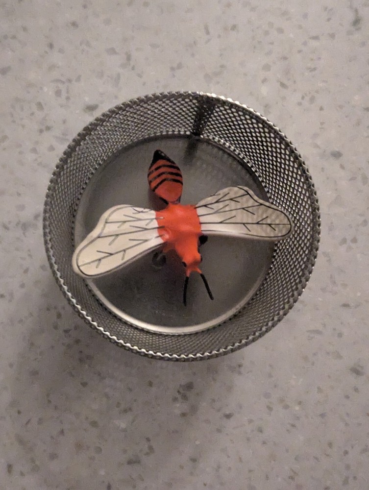 Magnetic Dragonfly In Bug Box Science Project, Refrig Magnet, Or Just Fun!