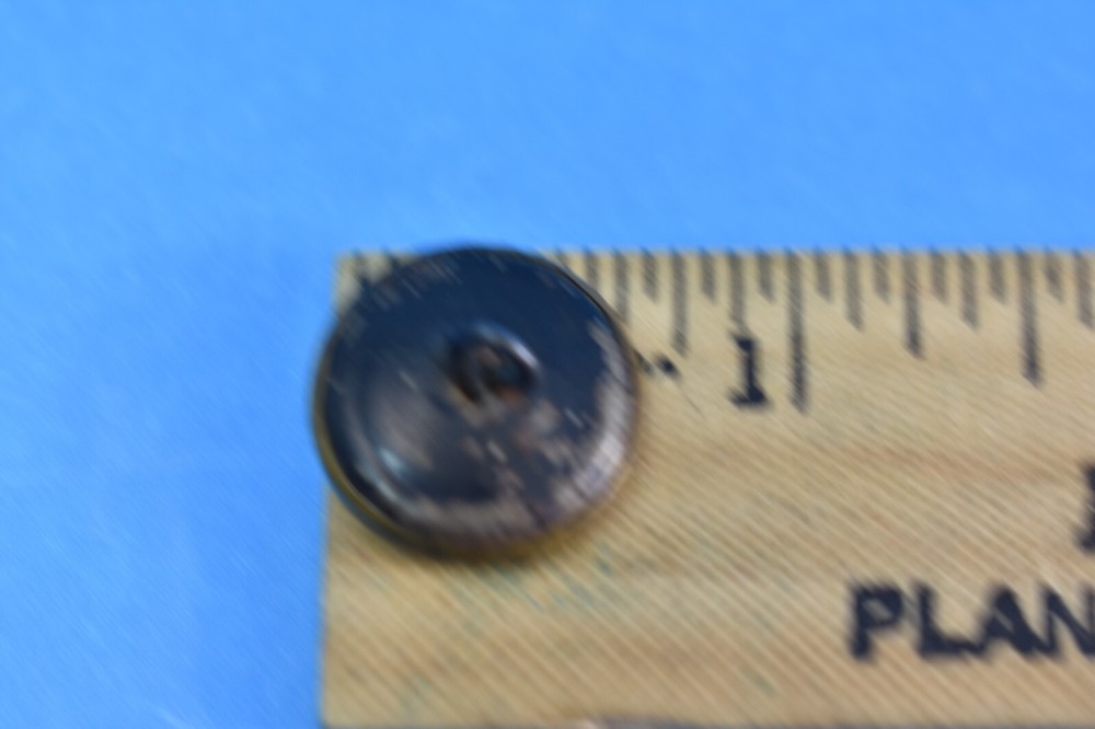 Antique Heraldic Lion Buttons