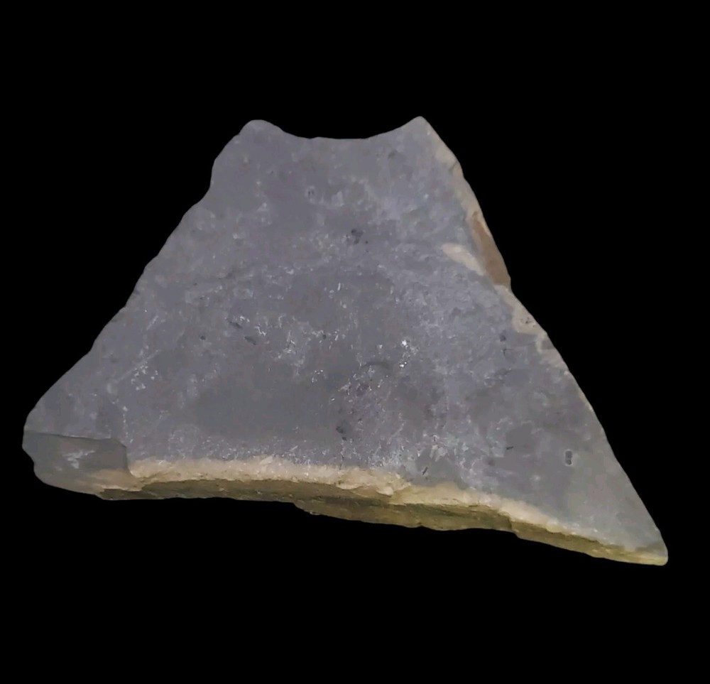 Trilobite Half Impression Wheeler Shale – Utah
