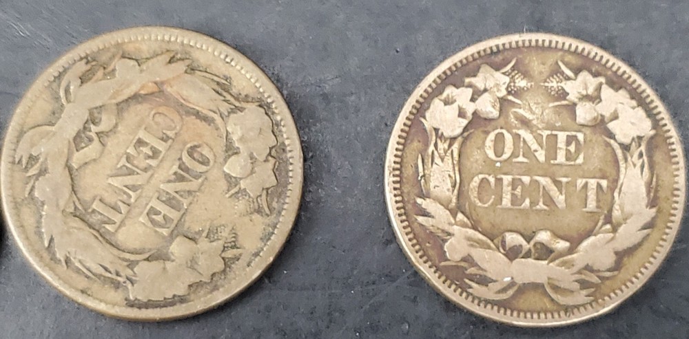 9 Mixed Flying Eagle & Indian Cent Collection