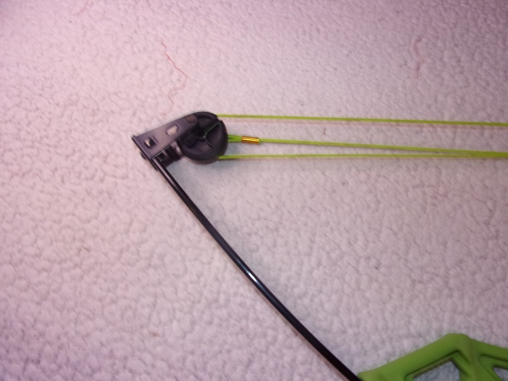 Bear Apprentice Youth Compound Bow