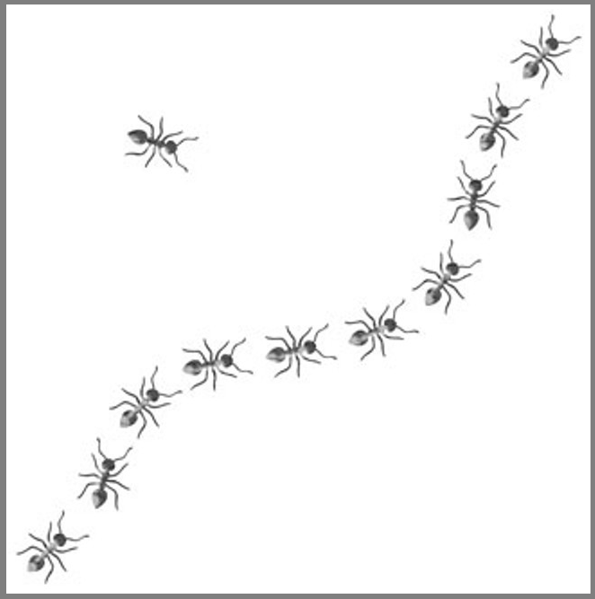 10"x10" Clear Plastic Stencil - Ant (ML168)