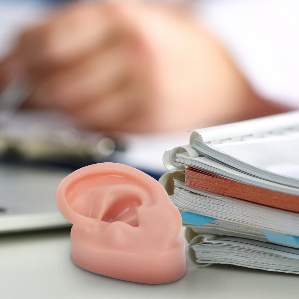 Simulation Human Ear Model ear model for teaching Ear Model Silicone Ears
