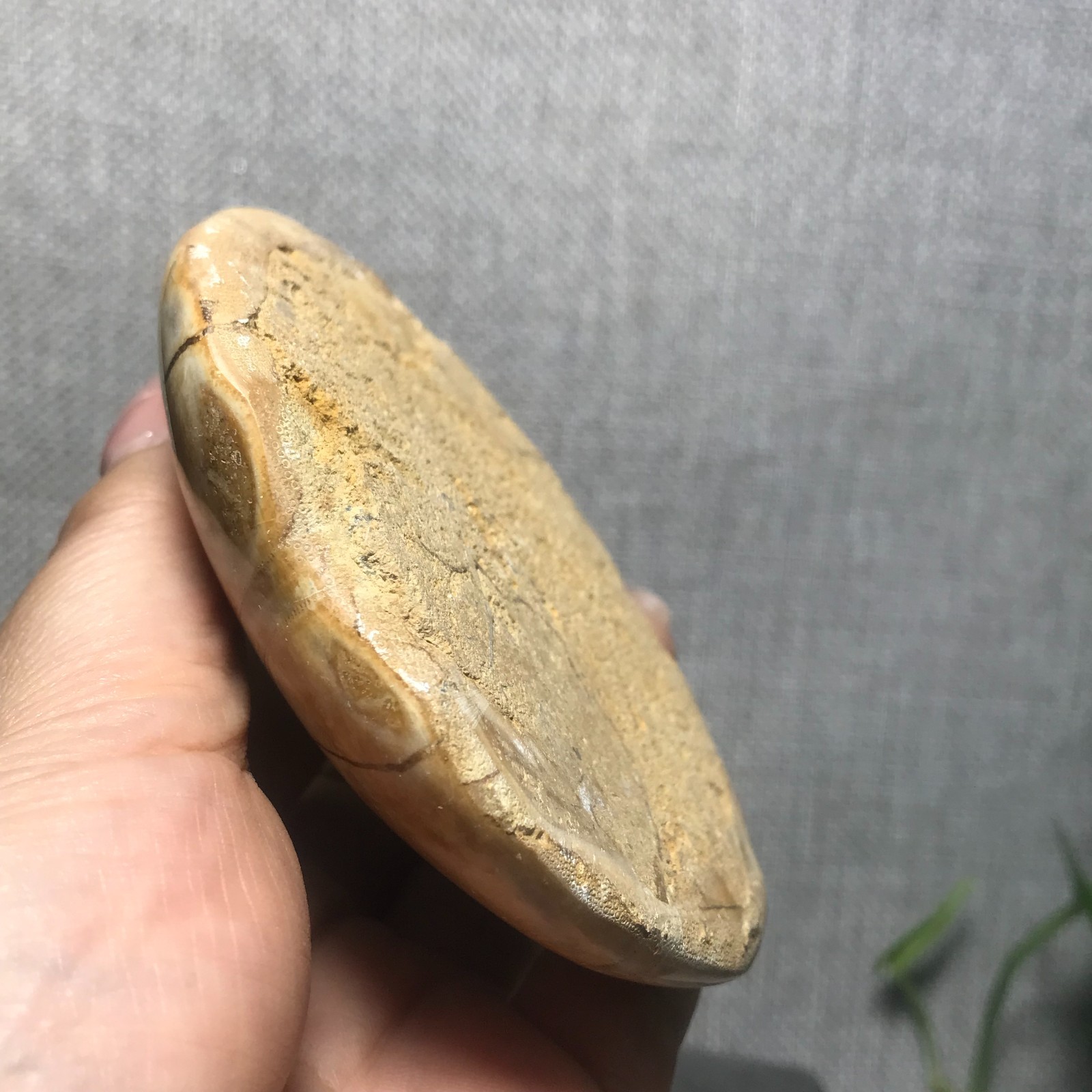 200g Starfish Crystal Specimen 13