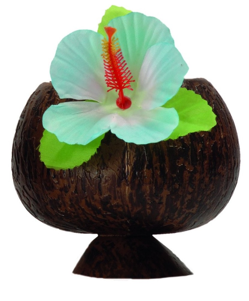BOLAND 52374 Coconut Cup, Assorted Colors