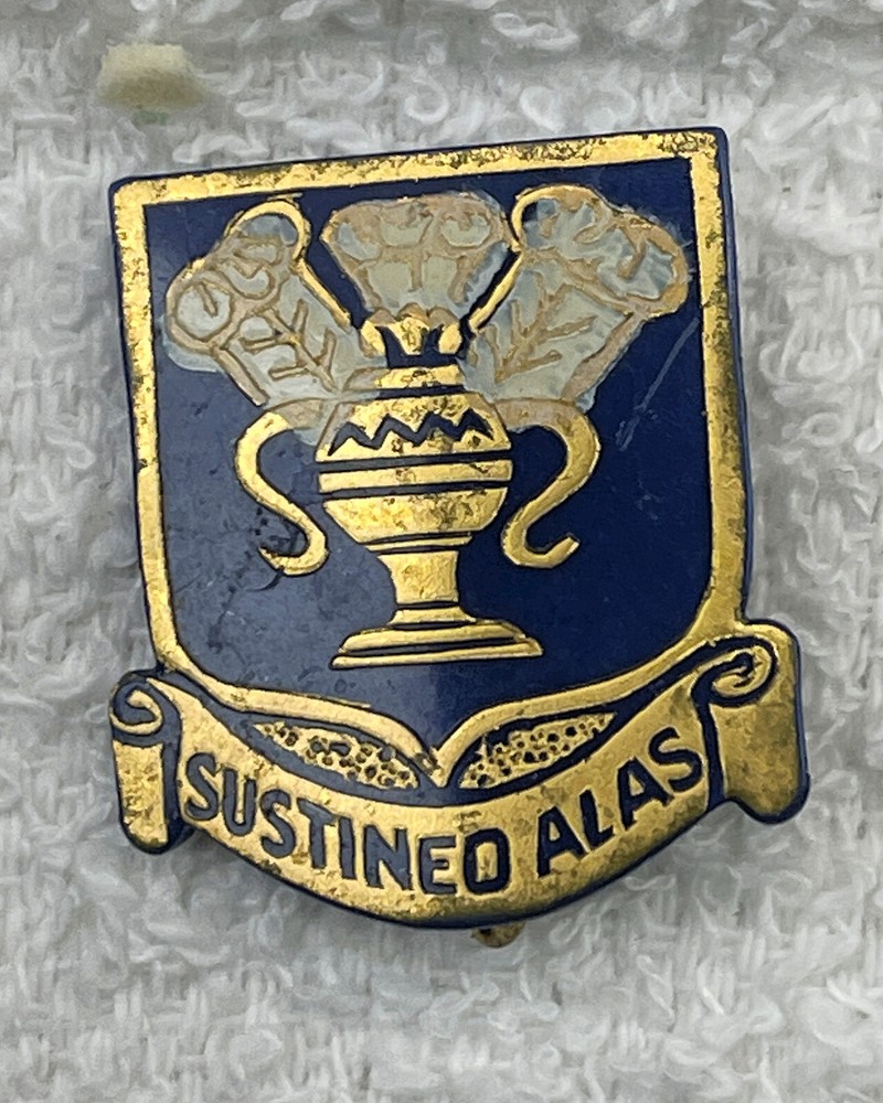 Original:  WW2  Technical training Cmd (AAC)   DI / DUI / Crest  PB  24  A