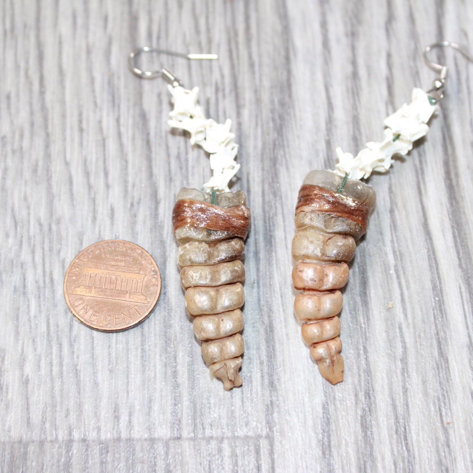 Rattlesnake Rattle Plus Vertebrae Earrings #4663 Mountain Man Earrings