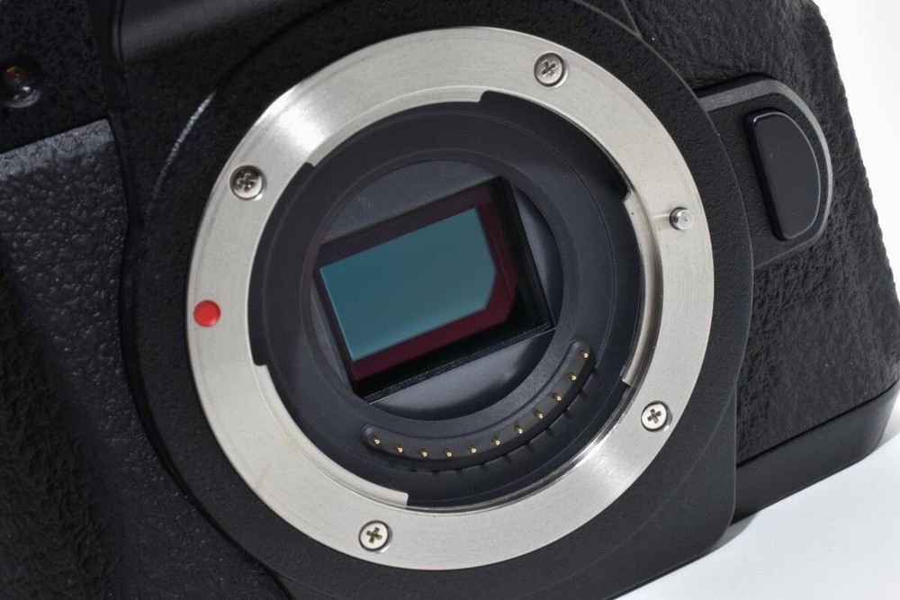 Panasonic LUMIX DC-G99D #1795