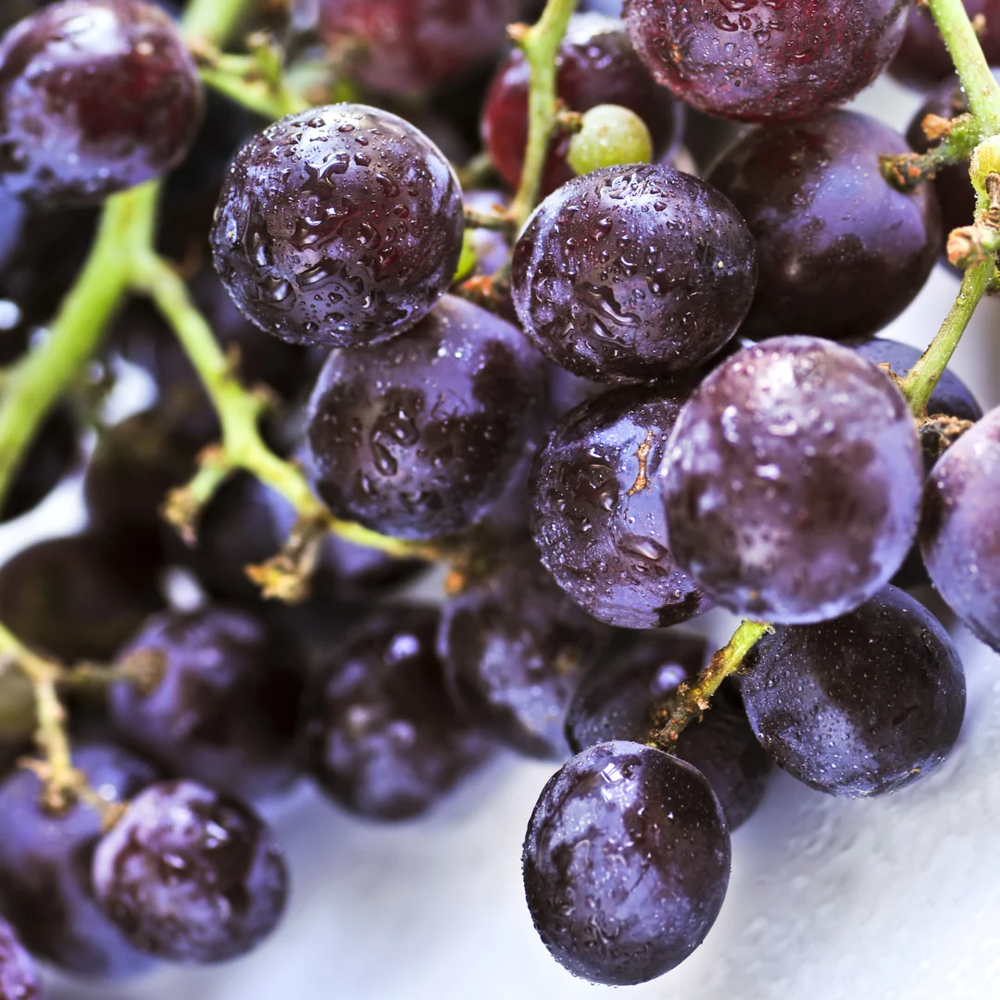 Grape Fragrance Oil
