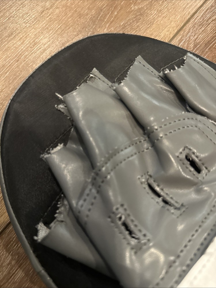 Everlast Boxing Punch Mitts