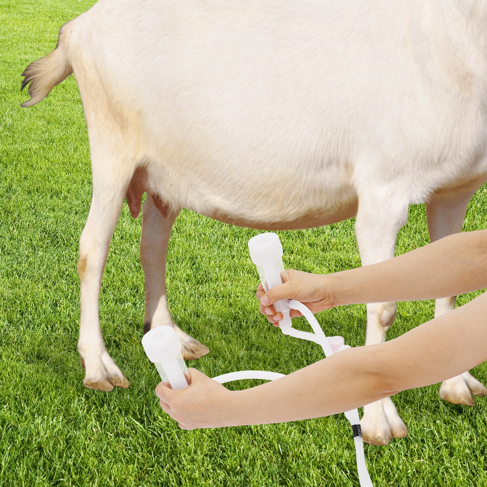 Electric Cow Milker Pulsation Cow Milking Machine with Stainless Steel Bucket