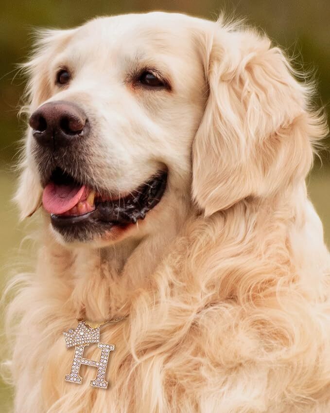 Initial Letter Charm Cuban Dog Chain Pet Collar Chain Pet, Cat, Puppy Necklace