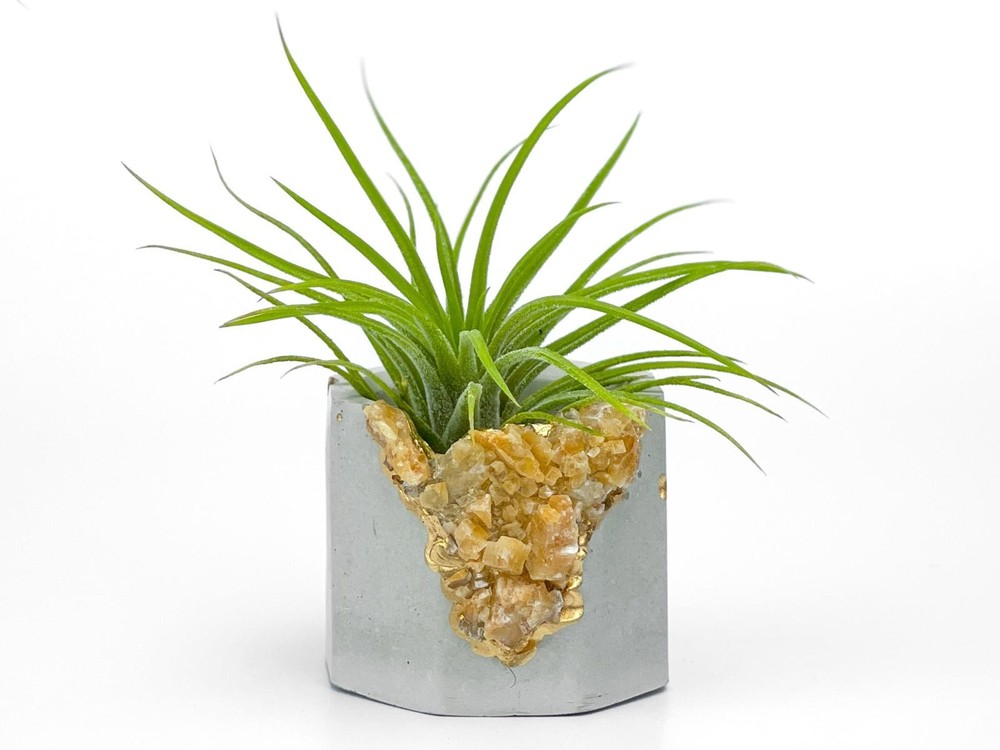 Raw Orange Calcite Crystal Planter Geode Planter Mini cute