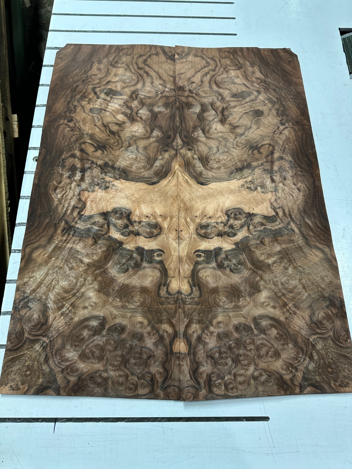 Walnut Burl Raw Wood Veneer 2 sheets 25'' x 10'' 319E