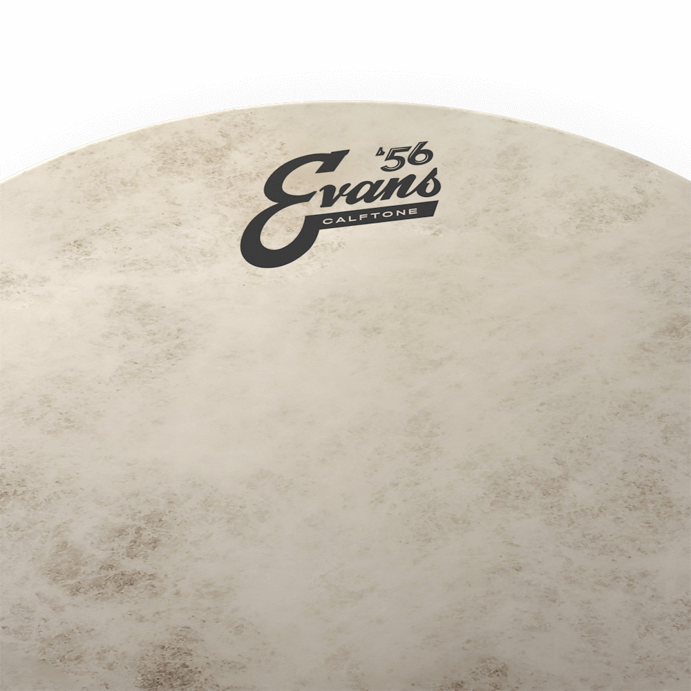 Evans Calftone 57 Drum Head 8"