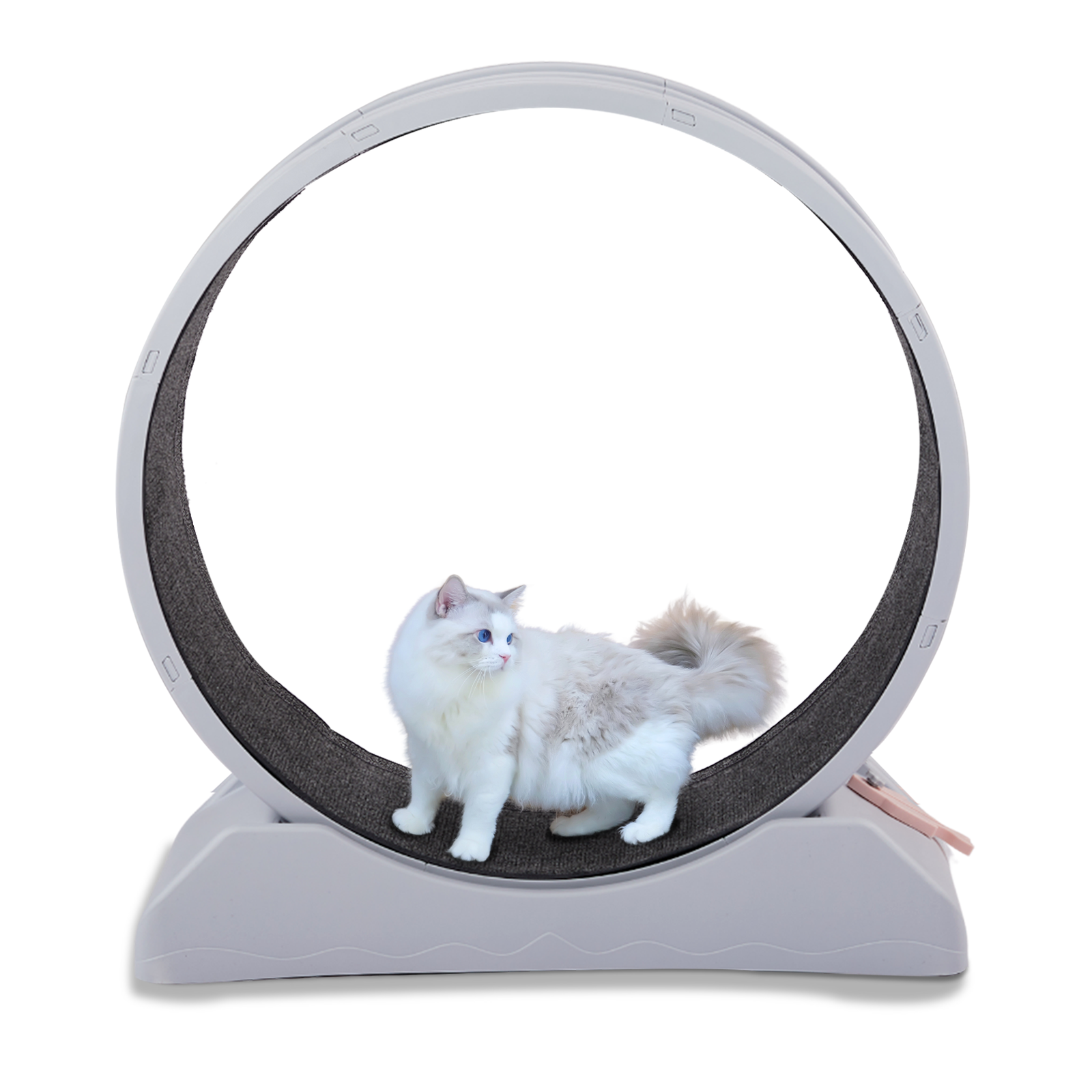 Cat Exercise Wheel Large Cat Treadmill Running Wheel for Indoor Cats 34.7 inch