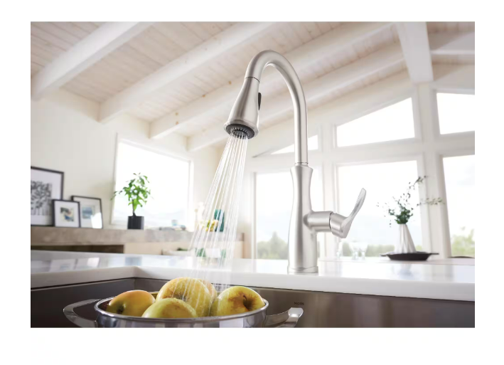 Nellis Single-Handle Pull-Down Sprayer Kitchen Faucet