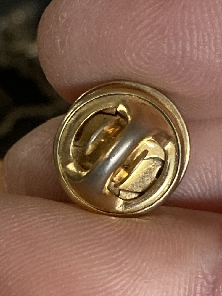 Excellence In Nursing ICHD Lapel Pin EUC K535