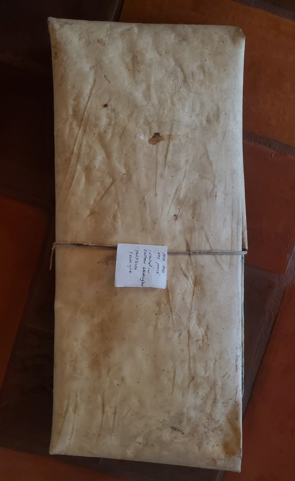 Antique OLD Native American Indian parfleche envelope Nez Perce 19th c.