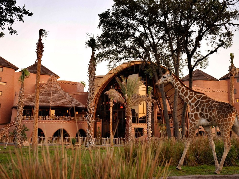 Disney Vacation Club DVC Points