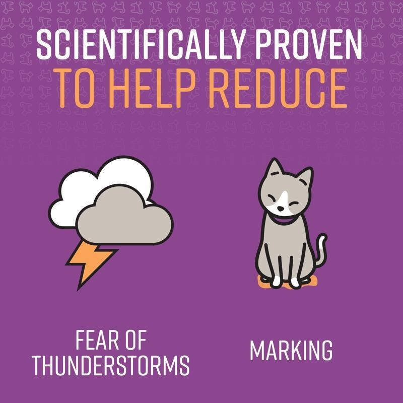 Cats Calming Pheromone Diffuser Anxiety Reduction Release Bundle Reduce Stress