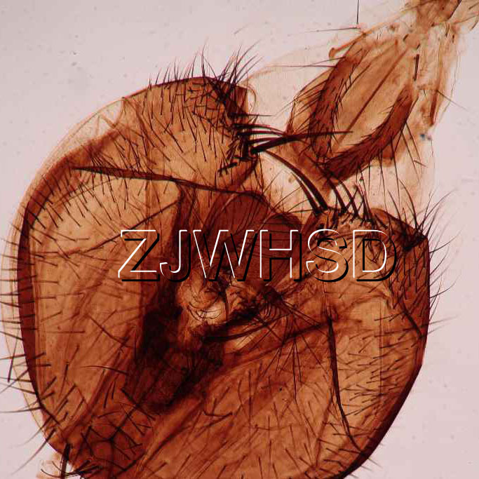 100pcs Glass Prepared Basic Science Microscope Slides Sample Biology Pathology