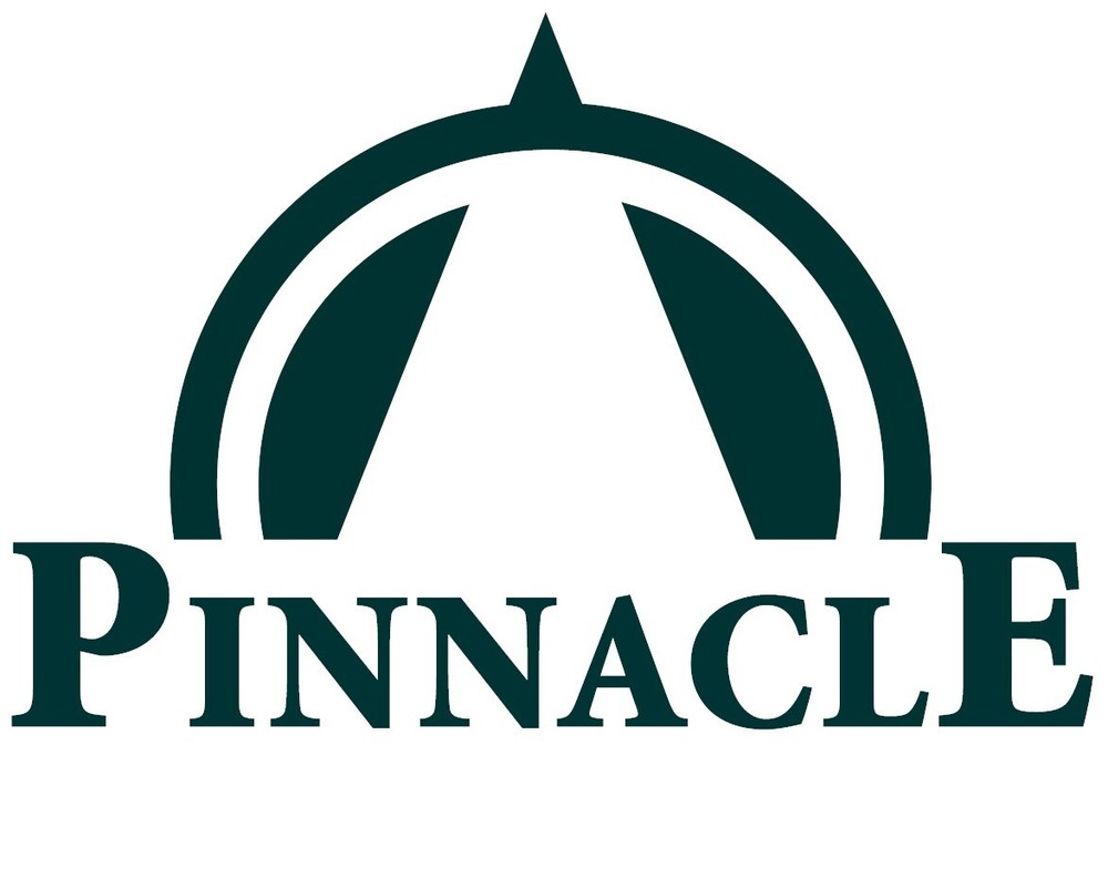 100 Black Stamp Collecting Submission Approval Cards, 2 Strips, Archival Quality