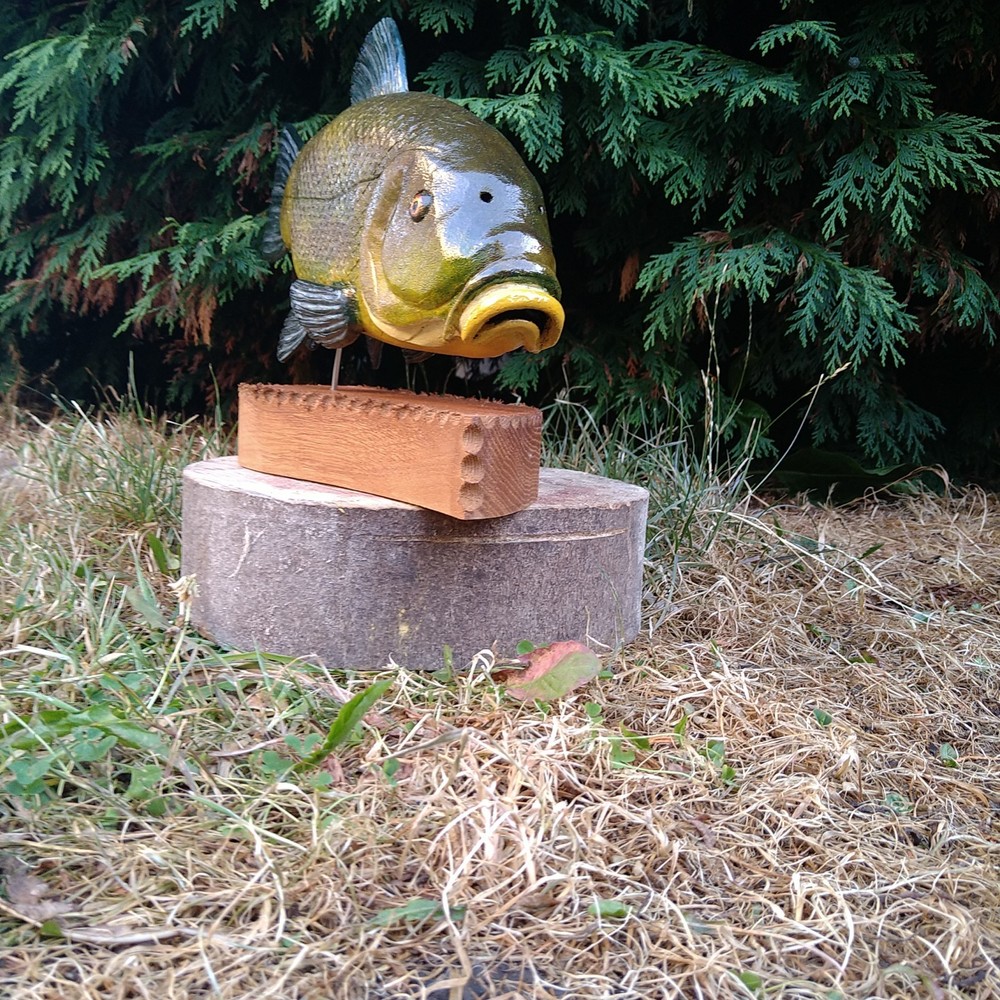 Tench Fishing , fish